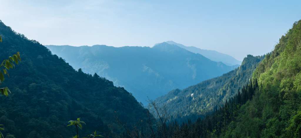 Forested mountain landscape with rolling hills