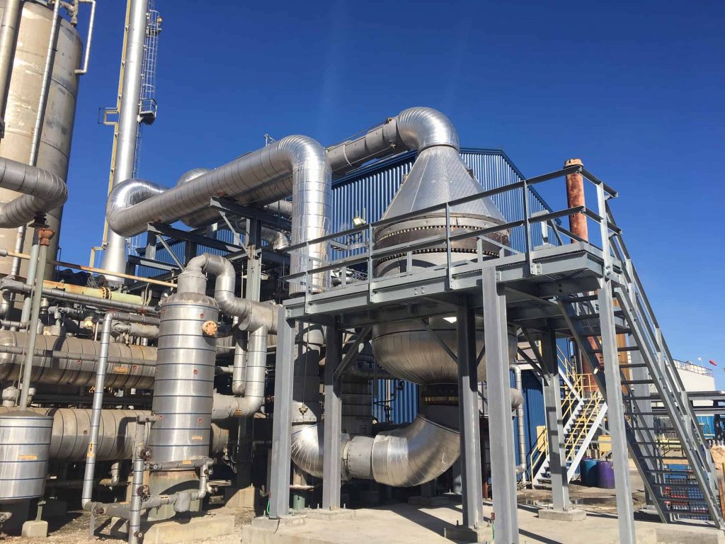 Newsletter 3 Plant