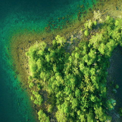 Impact Report 2024 - Homepage