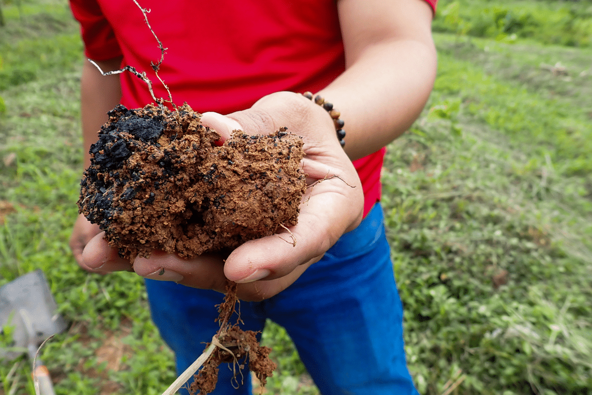 How Biochar is Revolutionizing Agriculture & Combating Climate Change ...