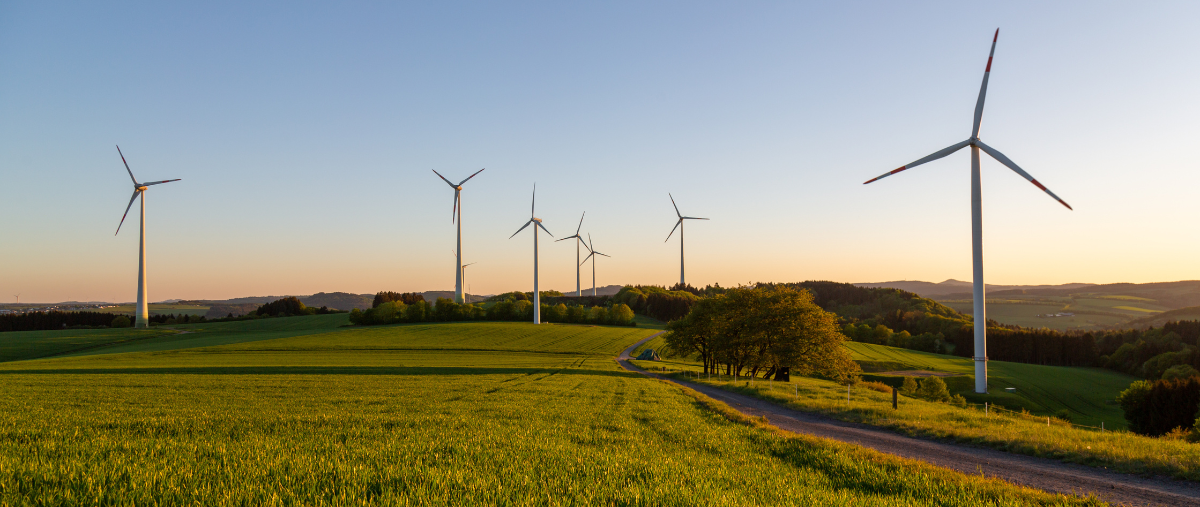 Wind farm with turbines operating on grassy fields under a clear sky
