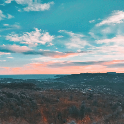Wide landscape view of forested hills