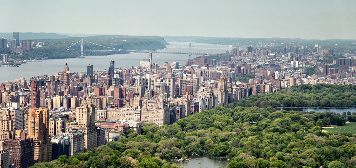 Aerial view of Central Park New York City