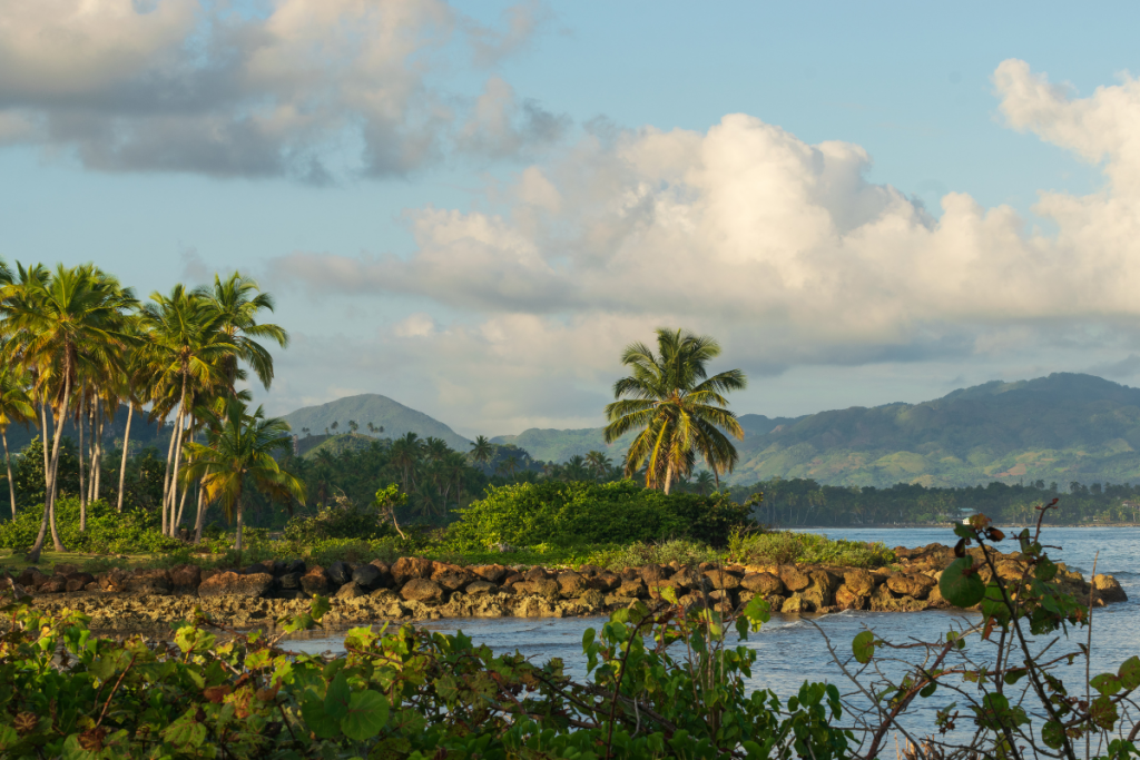 Tropical landscape