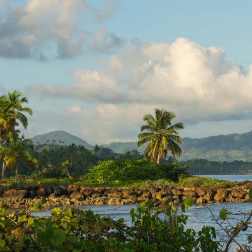 Tropical landscape